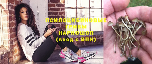 хмурый Балабаново
