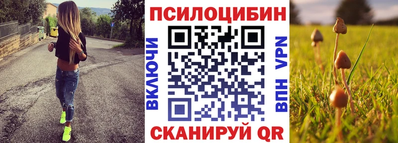 дарнет шоп  Всеволожск  blacksprut ссылки  Псилоцибиновые грибы мухоморы 